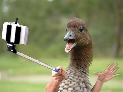 duck lips photo|duck selfie.